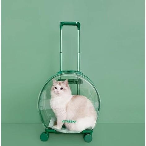 Tas Transparan Kucing Anjing Trolley Cargo Travel Bag Cat Dog Koper