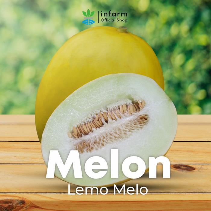 INFARM - Benih Melon Lemomelo Unggul, Bibit Buah Melon Golden Super Bibit Buah Melon Berkualitas