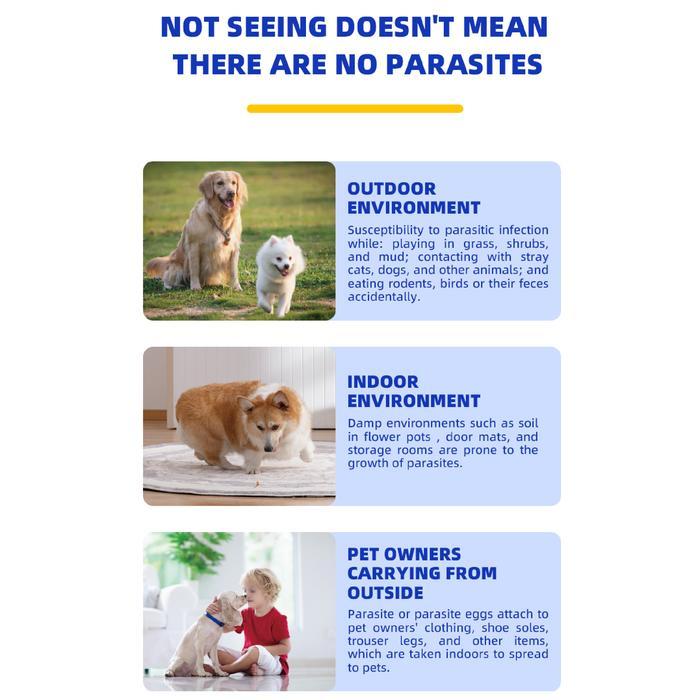 Dr.Vet Imidacloprid and Moxidectin Spot-on Solutions for Dogs