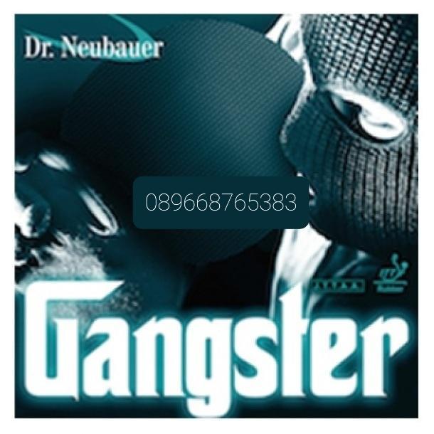 Dr. Neubauer GANGSTER, Bintik Panjang