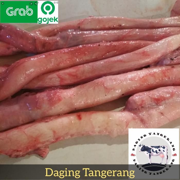 

Pilihan- Urat / Kelamin Sapi