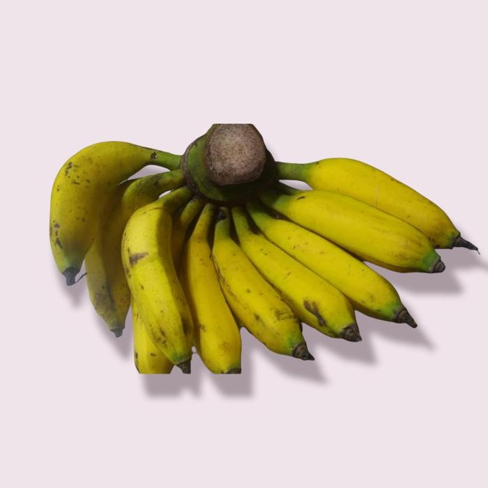 

Pilihan- Pisang Uli 1 Sisir