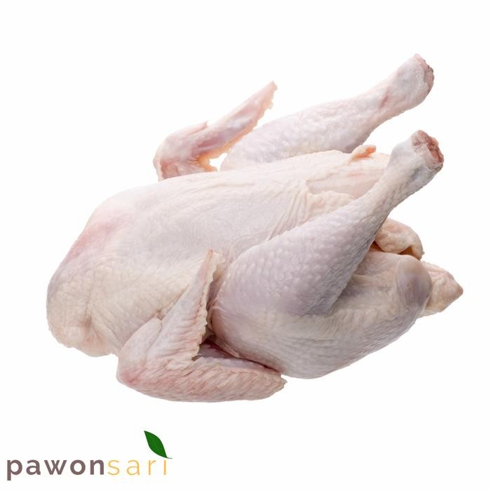 

Pilihan- Ayam Broiler Fresh 1 Ekor