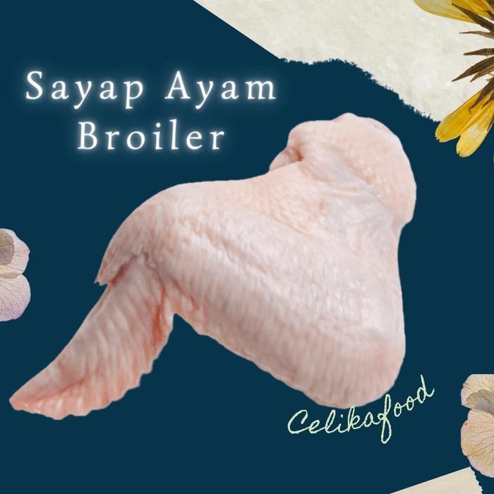 

Pilihan- Sayap Ayam Broiler Potong 500 Gr Daging Chicken Wings Frrsh Masakan