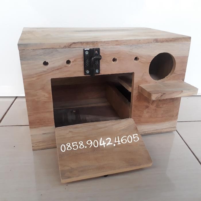 Glodok love bird pintu depan