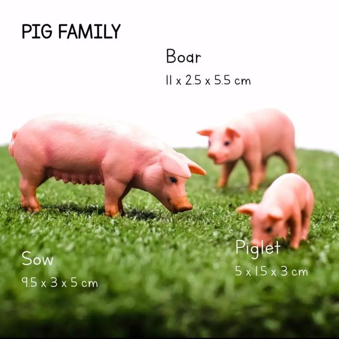 Montessori Cultural Farm Animal Pig
