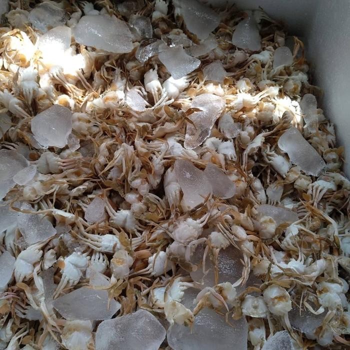 Instanbisa- Baby Crab / Baby Crab Frozen / Baby Crab Crispy / 500 Gram