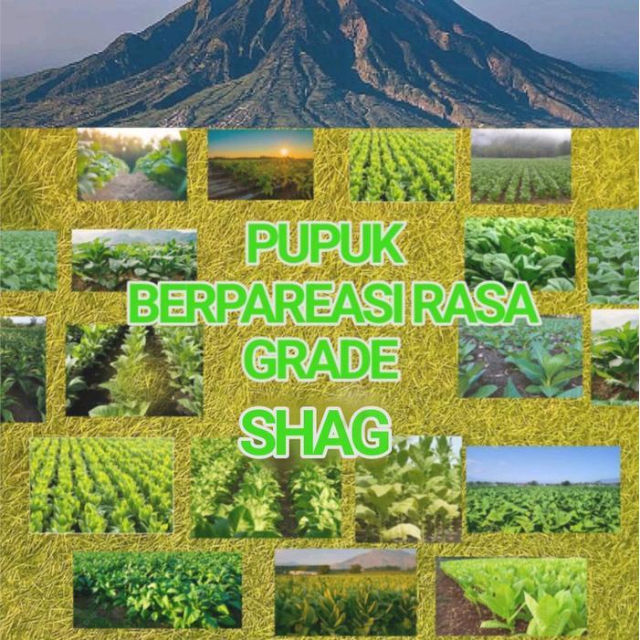 Promo SHAG Pupuk Organik Berpareasi Rasa Grade SHAG Kemasa 1kg untuk Pertanian dan Tumbuhan Terlaris