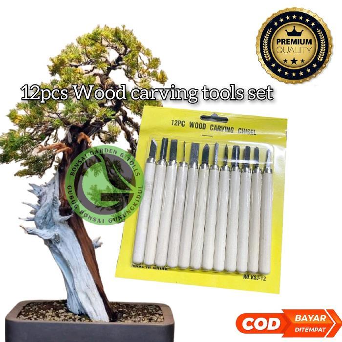 Tatah bonsai, Mini Wood carving tools set 12pcs pahat kambium bonsai