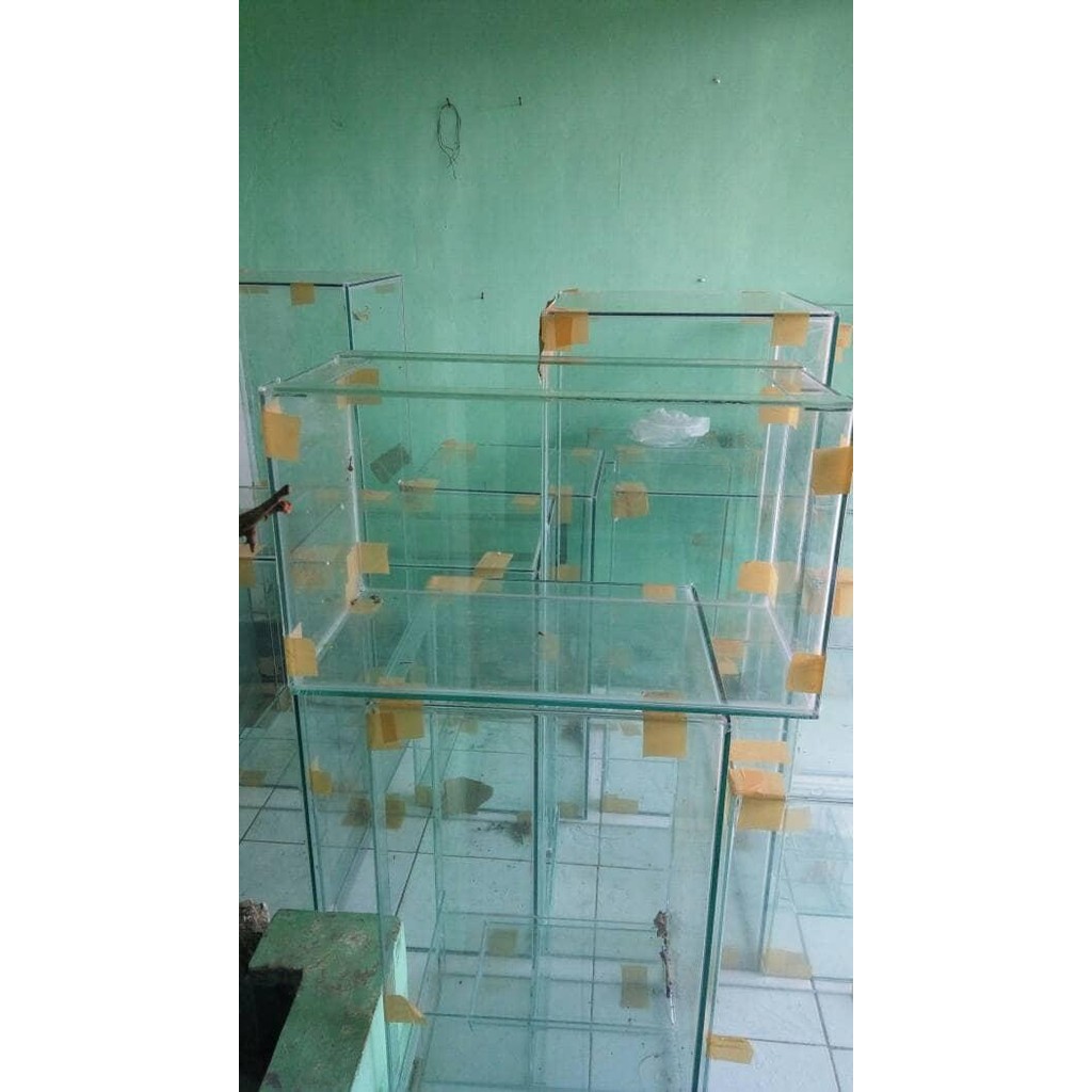 

Orderan Bp. Fernando Kemenkumham