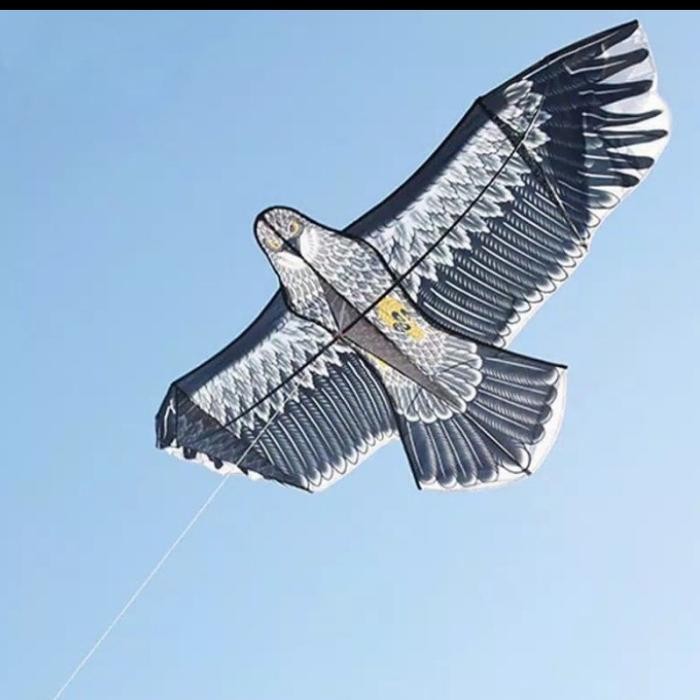 Layangan elang parasut JUMBO + layangan lipat