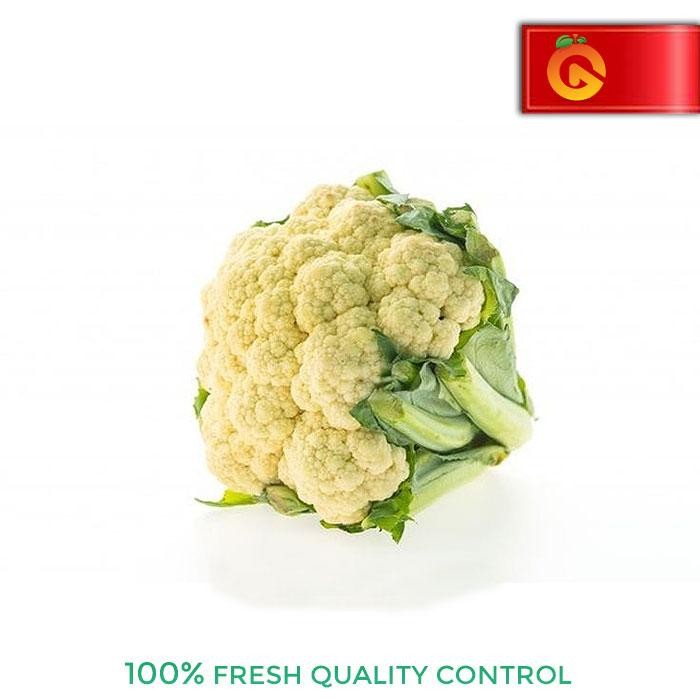 

Pilihan- Kembang Kol Fresh 500 Gram