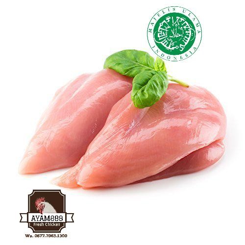 

Pilihan- Fillet Dada Bersih Tanpa Kulit