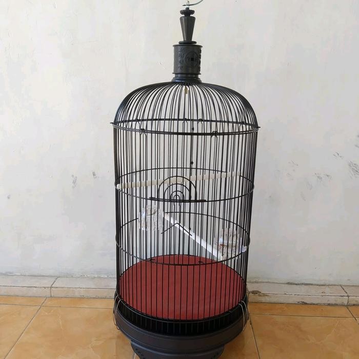 Chocolatoslatoe Sangkar Kandang Burung Lovebird Kapsul Merk Dragon D33 Besi Tebal