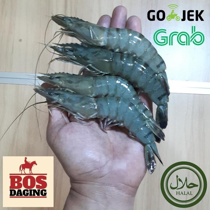 Instanbisa- Udang Segar / Udang Windu / Udang Pacet / Ikan Laut Segar