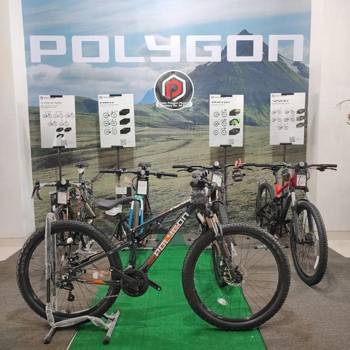 POLYGON RAYZ 2 GREY 3x7 27'5"