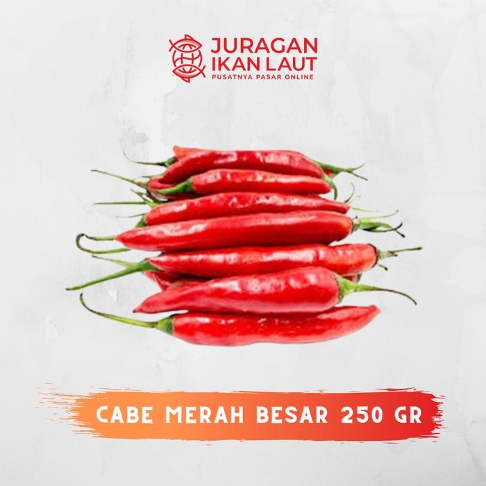 

Pilihan- Cabe Merah Besar Segar Berkualitas - 250 Gram