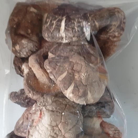 

Pilihan- Jamur Hioko Mushrooms