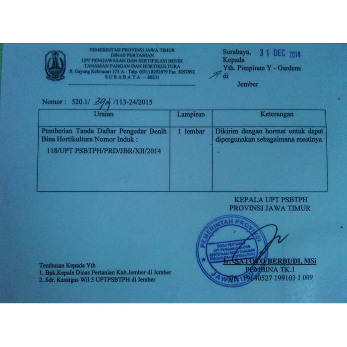 READY Benih Kedelai Edamame, 1 kg benih edamame ada sekitar 2500 butir. G00D QU4LITY