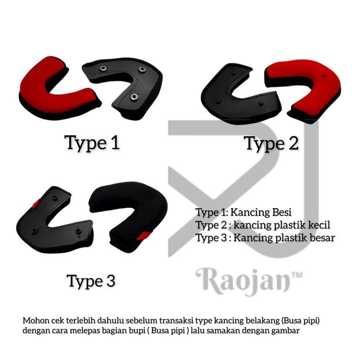 TERLARIS BusahelmNHK Predator 1V, BusaNHK Predator 2V,NHK Predator