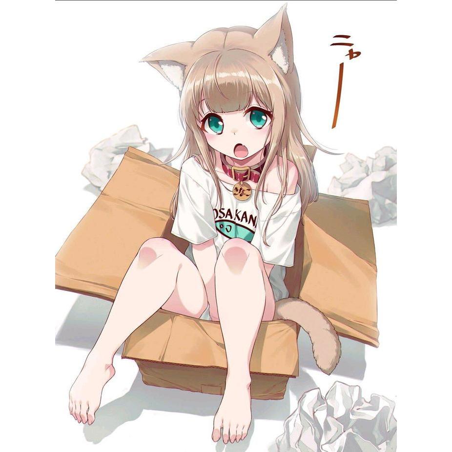 Osakana Neko Costume Set / Baju Fullset Cosplay Catgirl Kinako My Cat Is Kawaii Girl 40hara Fashion