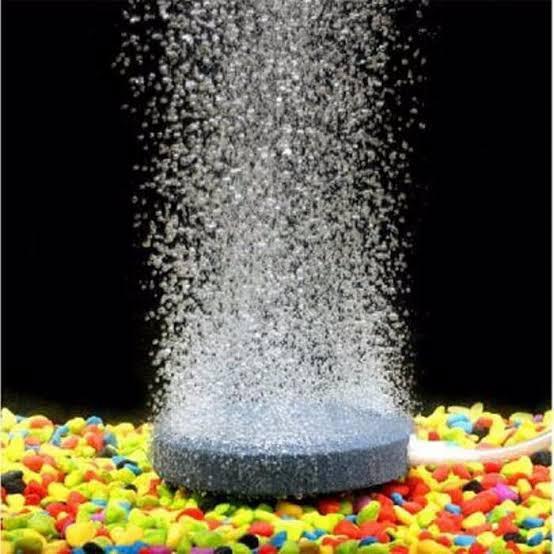 Air Stone Aerator Aquarium