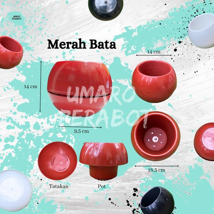Pot Bola Ukuran L / Pot Bulat / Pot Plastik Bola / Pot Super Bola / Pot Tanaman / Pot Bunga / Pot