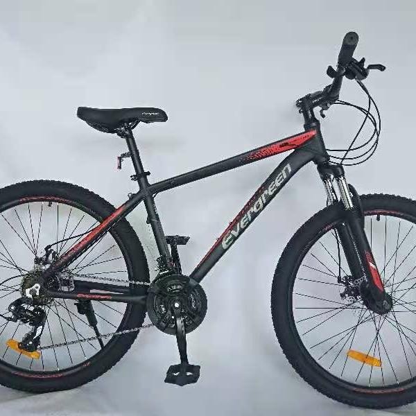 MTB 26 ALLOY EVERGREEN BLAZE 680 8 SPEED CAKRAM INNER CABLE