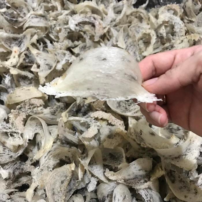 Sarang walet kotor asli banjarmasin (mangkok) hrg / kg