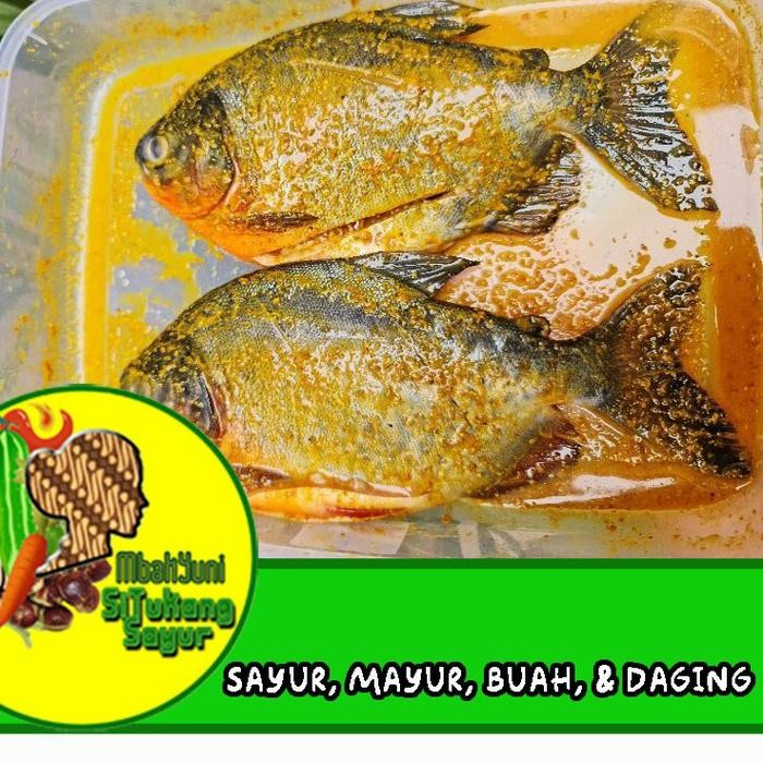 Instanbisa- Ikan Bawal Ungkep Bumbu Kuning 500Gr