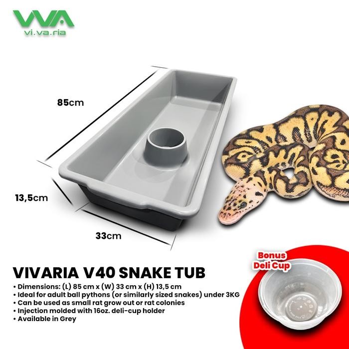 Terlaris Vivaria V40 Snake Tub Kotak Ball Python BP Ular SALE