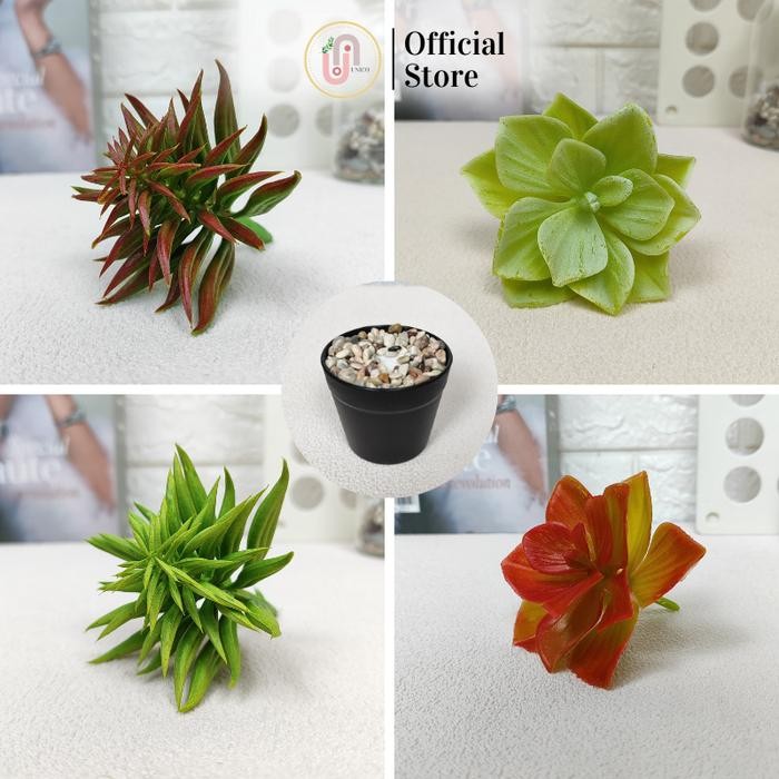 Kaktus Hias Mini Plastik Tangkai Tanpa Pot Artificial Ornamen Dekorasi Ruangan