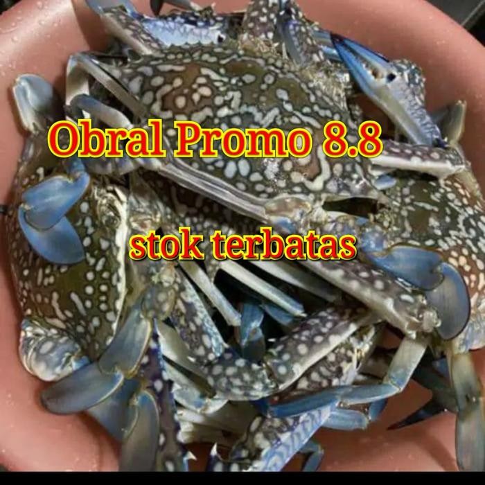 Eat77- Rajungan Besar Segar Fres