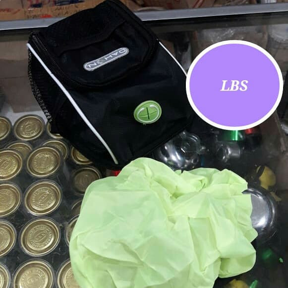 Tas Sepeda Dahon L Tas Dahon Sepeda L Dahon Bag
