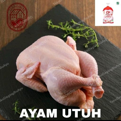 Pilihan- Ayam Utuh / Daging Ayam Karkas Broiler Frozen