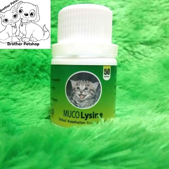 Pilihan- Muco Lysine 50 Tablet - Obat Flu Cat - Penambah Nafsu Makan Kucing