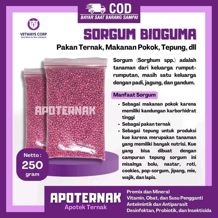 Stok Baru BIJI SORGUM BIOGUMA PUTIH SUPER 250 gram - Bibit Pakan Ternak, Makanan Pokok, Tepung -