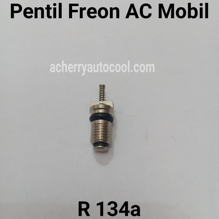 #####] Pentil Freon AC Mobil R134a