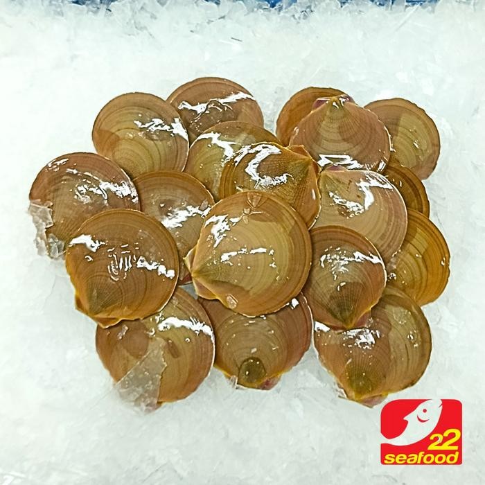 Instanbisa- Kerang Simping 1Kg / Scallop / Seafood 22