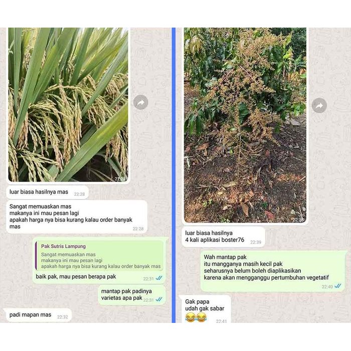 Booster 76 Hormon Pembungaan Dan Pembuahan - Hormon Dan Pupuk Buah Dan Tanaman Bunga Pohon Original