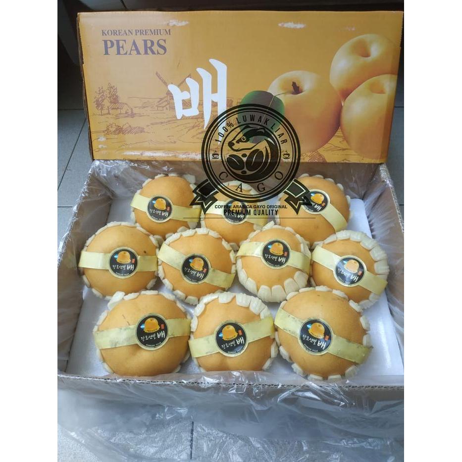 Buah Pear Pir Singo Premium 1 Dus (9 KG) Fresh