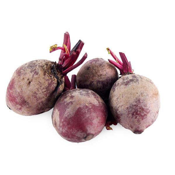 Buah Bit / Bit Root