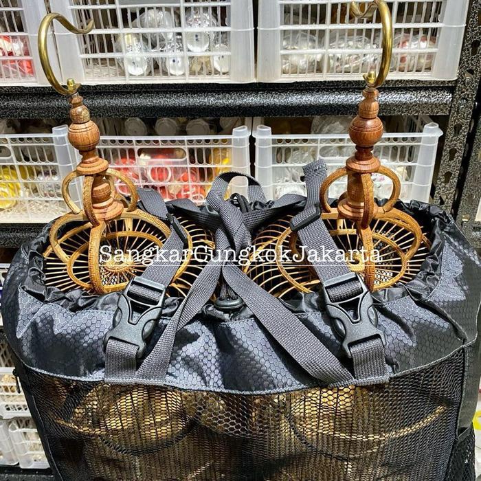 Jayus - Tas Sangkar Cungkok D22 Longchim Pleci Auriventer Mata Puteh Isi 2
