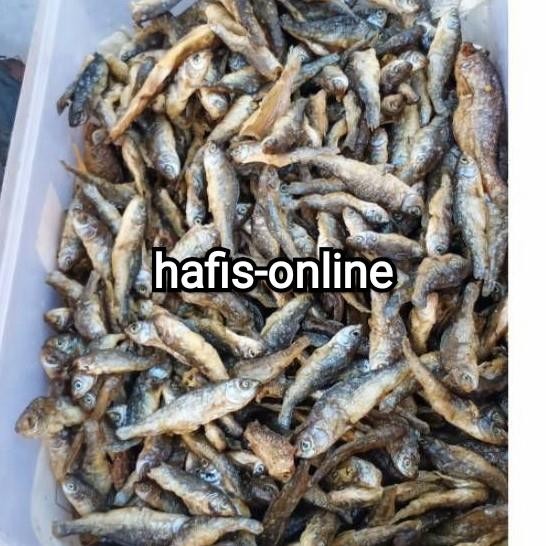 

Pilihan- Ikan Bilih Danau Singkarak