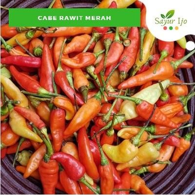 

Pilihan- Cabe Rawit Merah 250 Gram Fresh Chili - Sayur Ijo Segar Murah