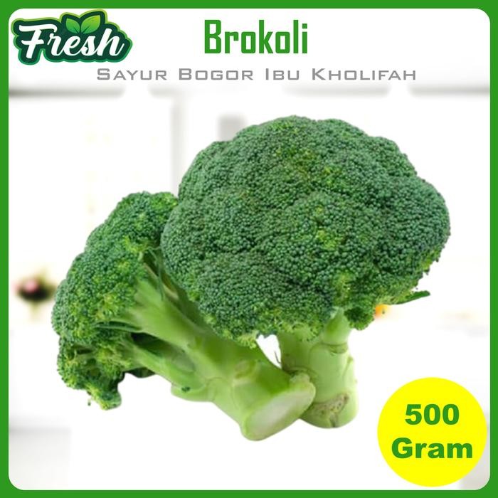 

Pilihan- Brokoli Hijau Segar Broccoli Sayuran Segar Bogor