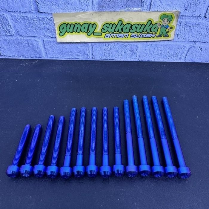 Baut Titanium Crankcase Set Ninja R Ss Rr Zx New Rr