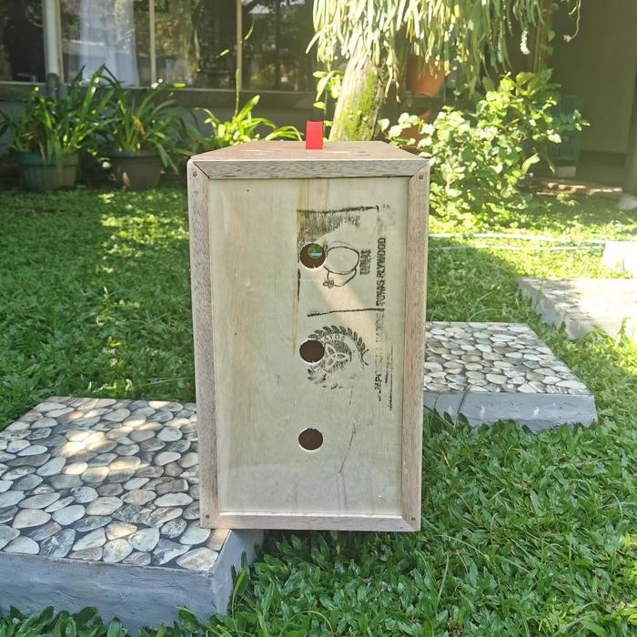 BOX AYAM ADU / KOTAK TAS TEMPAT AYAM / KANDANG AYAM KOTAK