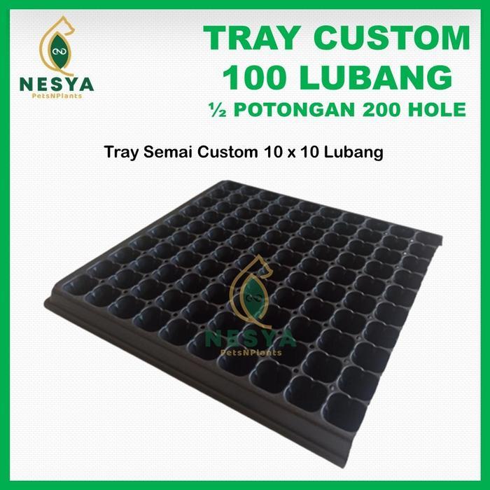 BOOM SALE Tray Semai Potray 100 Lubang Custom - Tray Semai 10x10