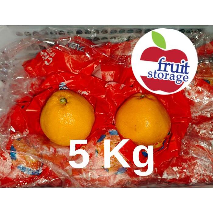 Jeruk Dekopon / Chunjian / Papagan Jeruk Mandarin Pasti Promo